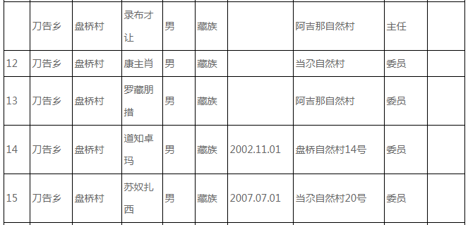 若巴村人事任命揭晓，开启新篇章引领未来