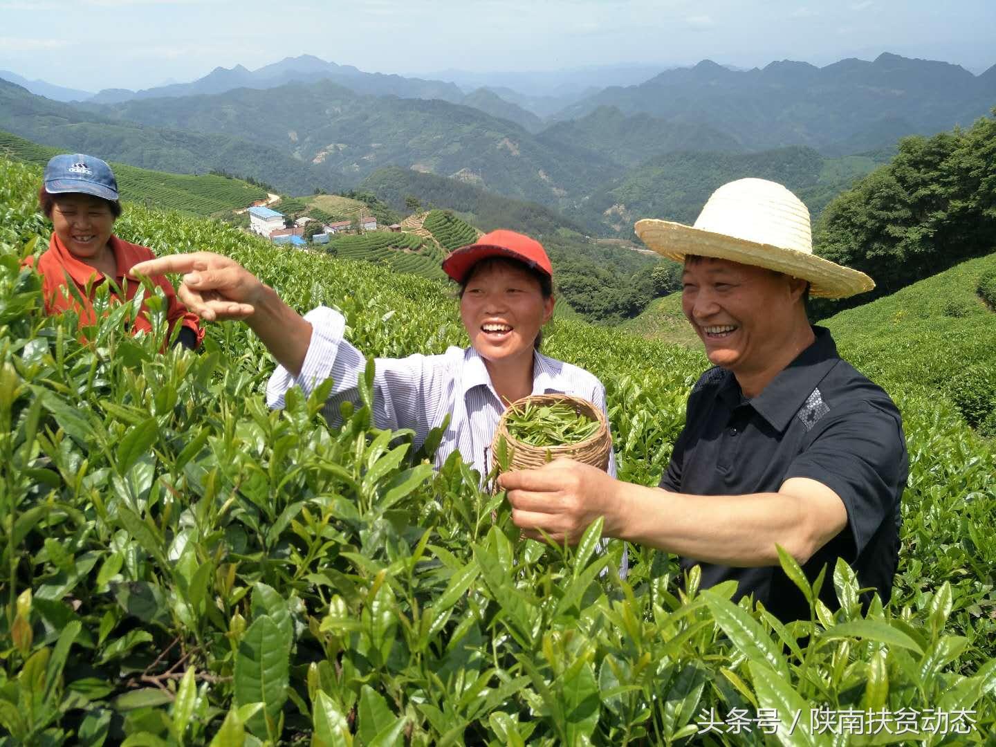 麦加村交通状况全面升级，村民出行更加便捷，最新交通新闻报告