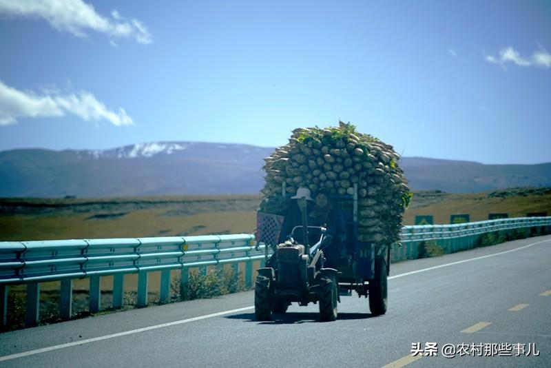 拉扎村委会天气预报更新通知