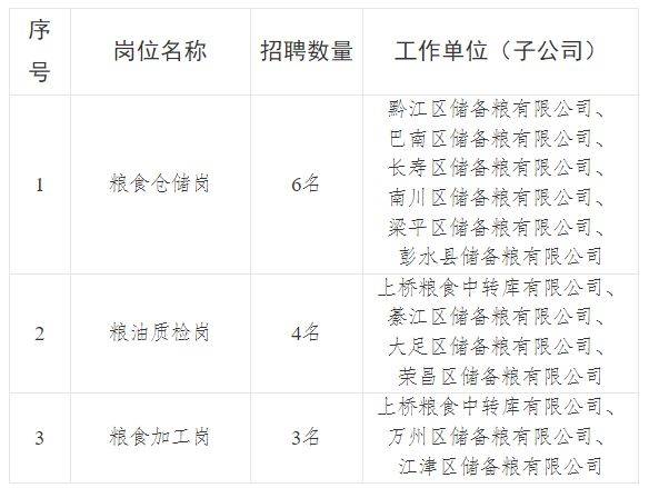 滨州市粮食局最新招聘启事概览