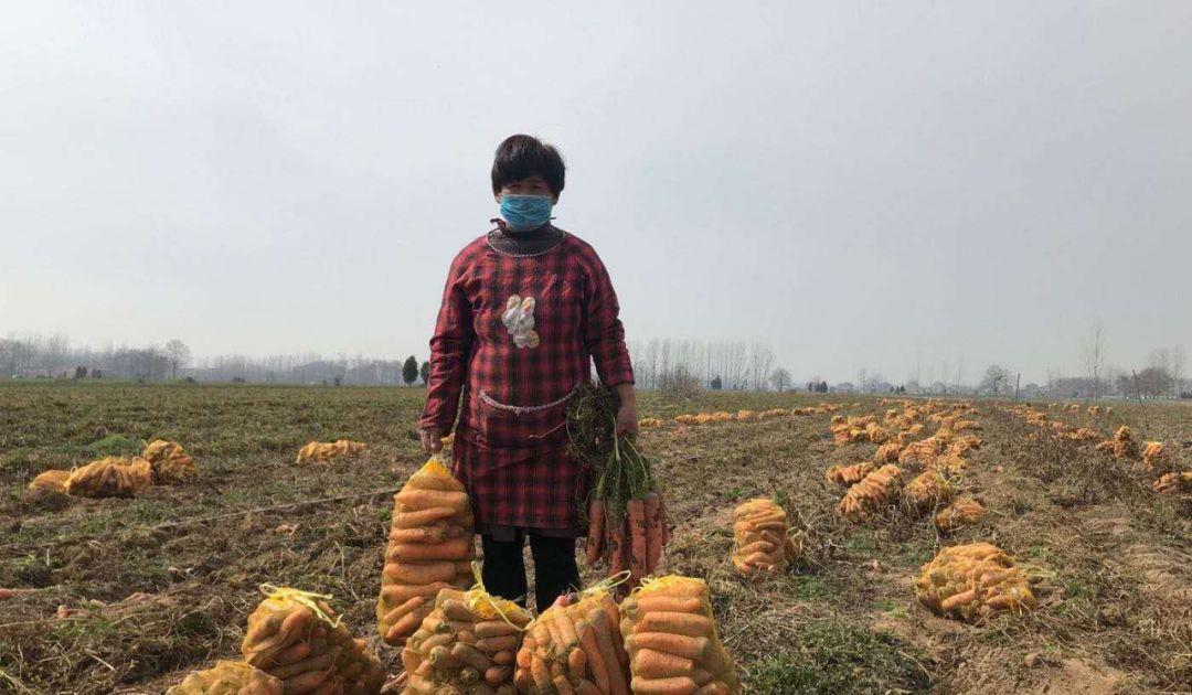 睢阳区文化广电体育和旅游局最新项目概览与动态