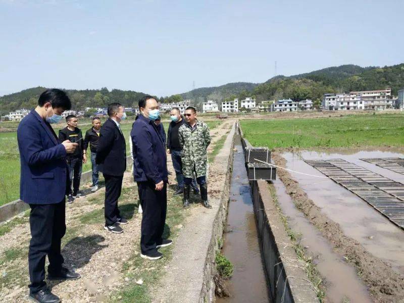 宜丰县农业农村局最新发展规划概览