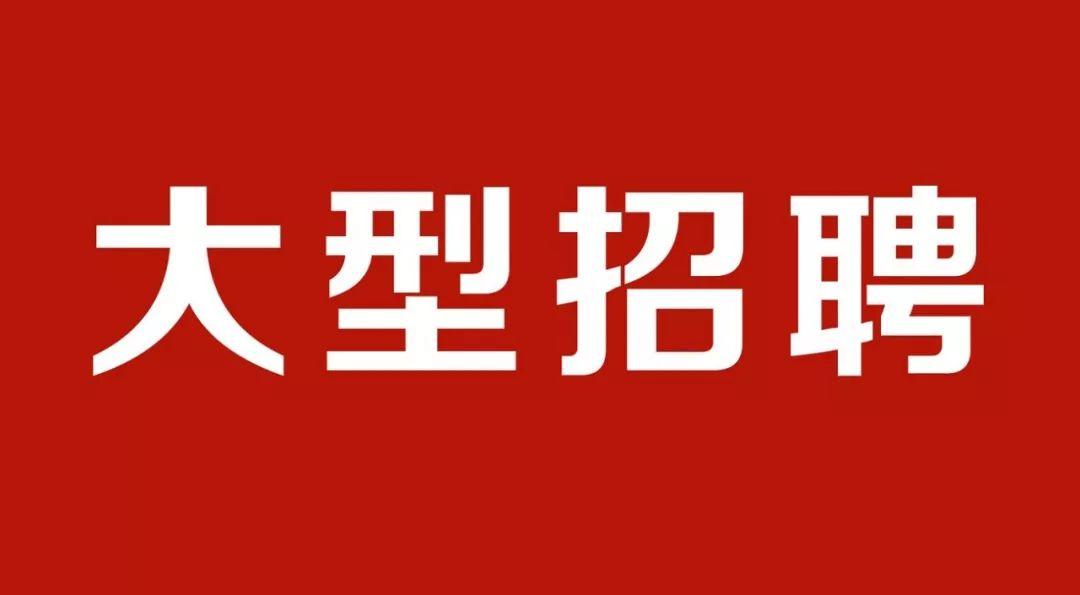 翠屏区初中新任领导亮相，引领未来教育新篇章