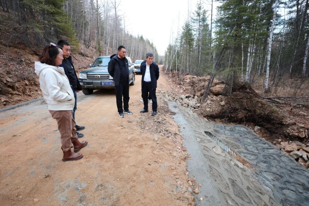 石头河林场交通升级，道路改造提升区域通达度