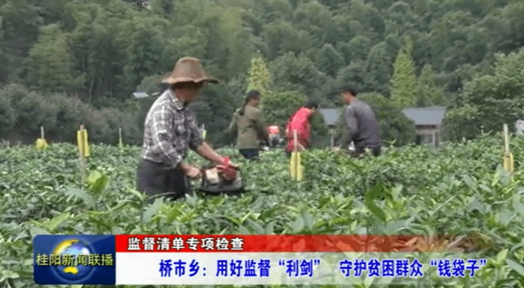 西岗子试验林场领导团队变革与发展新篇章