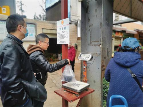 大观区文化局新项目启动，推动文化繁荣，塑造城市新面貌风采