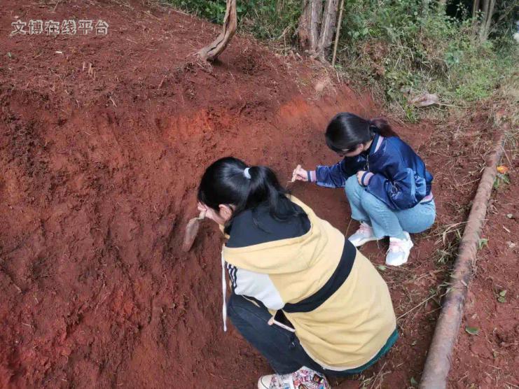 城内村委会最新发展规划概览