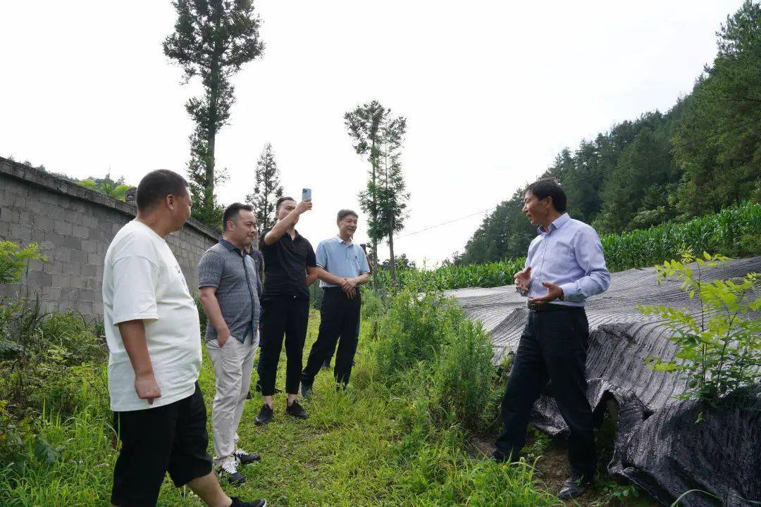 利川市农业农村局最新动态报道