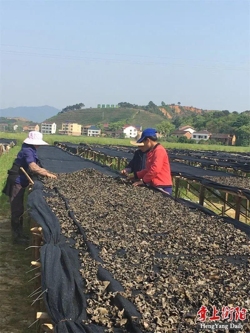 衡东县科学技术和工业信息化局招聘启事概览