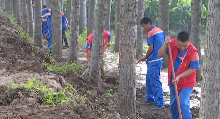 彰武县住房和城乡建设局领导团队全新亮相，未来展望与战略规划